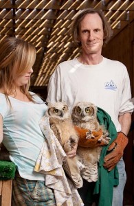 Two owls and volunters