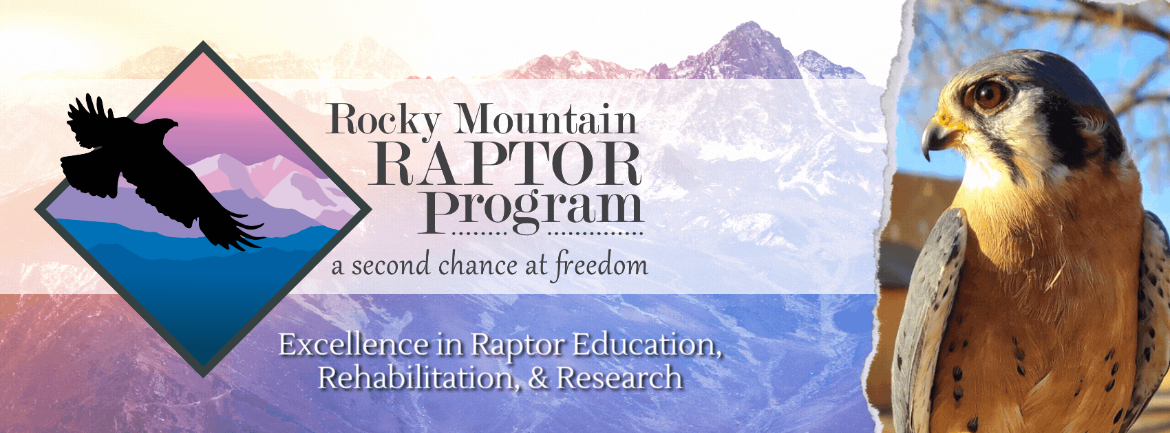 Rocky Mountain Raptor Program: Excellence in raptor rehabilitation, education, and research.